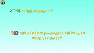 Guinea Pig Vitamin Tips You Must Know! 🌿🐹