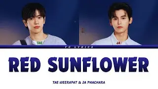 Tae Weerapat, Ja Phachara- Red Sunflower (Ost.The Love Never Sets) - Lyrics [ Han/Rom/IND/ENG ]