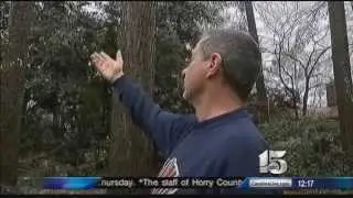WPDE NewsChannel 15 at Noon