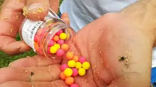 King Baits erjesztett etetőanyag bevet&eacute;sen