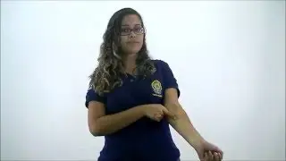 Veia