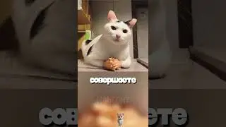 Опасная привычка перед сном