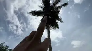 Lahan Kakao 45 Dan Kakao BB01 
