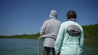 Chetumal Tarpon