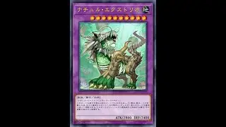 我打個星辰總不可能遇到大植然龍獸吧!? 對吧? [Duelist Cup 2025 DEC][利希德 | ODION | 王家の神殿 vs 星辰 | DRACOTAIL |ドラゴンテイル]