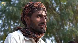 Kissan Day - 18 December  |BaKhabar Kissan|