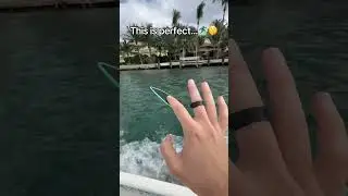Link in bio👈Im obsessed🤝🏄🏽&zwj;♂️#fyp #fingerboard #surf #trending #surftok #viralvideo