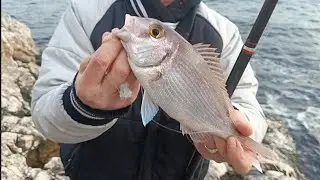 OTRO RATO MAS OTRA JORNADA MAS  DE PESCA  SURFCASTING DESDE ACANTILADO 