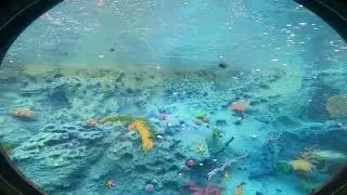Finding Nemo Submarine Voyage