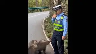 Обезьяны бучат на полицейского! Мем! Смотреть всем!