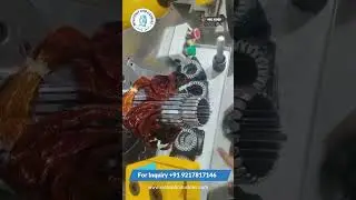 100 Dia Coil & Wedge Insertion Machine | Automatic Induction Motor Stator Insertion