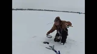 Ice fishing 2026 fox lake wi