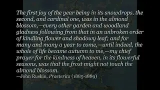 Steven Watson - The Frost and the Almond Blossom