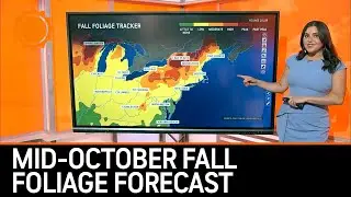Your Mid-October Fall Foliage Forecast | AccuWeather