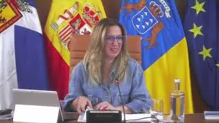 Pleno extraordinario del Cabildo de Tenerife, 19 de diciembre de 2025
