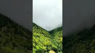 The Most Serene 4K Nature Views