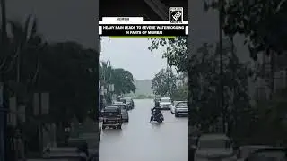 Heavy Rain leads to severe waterlogging in Mumbai&rsquo;s Vasai-Virar
