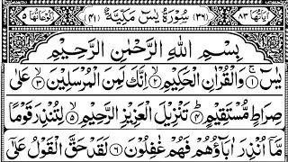 Surah Yaseen | Yasin | Episode 841 Daily Arabic Tilawat Surah Yasin Surah Rahman Quran Recitation