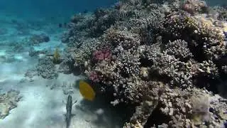 Jaz Aquaviva Makadi bay beach under water April 2021