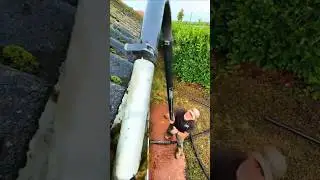 POV: When you are the best Gardener #garden #gardener