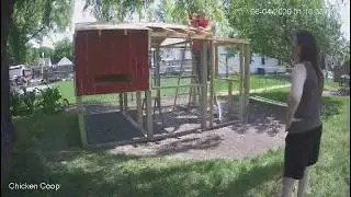 Chicken Coop with run, Day 13