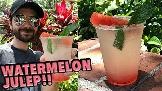 NEW Watermelon Julep in Disneyland!