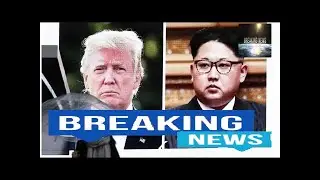 &lsquo;Diplomatic shock and awe&rsquo;: Here&rsquo;s how people are reacting to Trump&rsquo;s move to meet Kim Jong Un