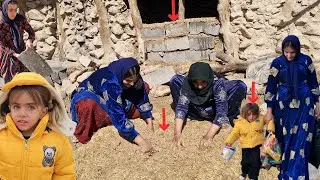 From Celine's return to her mother's arms to the family's efforts to restore the sheepfold🐐🏞🥰💞