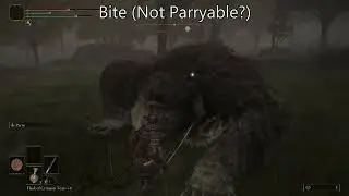 Elden Ring - Can It Be Parried : Runebear