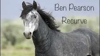 Рекурсивный лук Ben Pearson Mustang 7258.