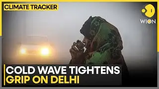 Coldwave Grips Delhi NCR: Mercury Dips to 3&deg;C | WION Climate Tracker