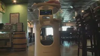 A robot may deliver your food at some Hampton Roads restaurants