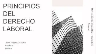 Principios del Derecho Laboral