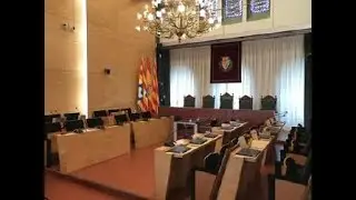 Ple extraordinari 24-12-2025