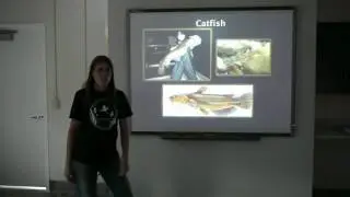 Fish Identification