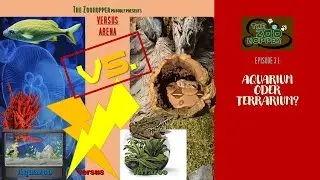 Versus-Arena: Aquazoo versus Terrazoo - Aquarium oder Terrarium? (Zoohopper-TV Episode 3.1)