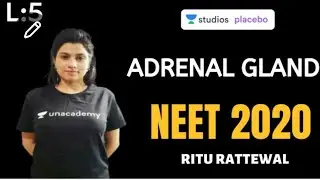 Adrenal Gland Endocrine System  Lec.05||Chemical Coordination And Integration Pre-medical NEET 2025