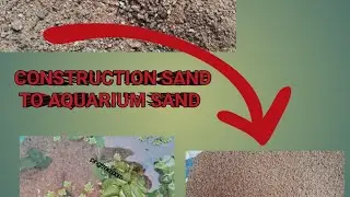 Aquarium Sand How Prepare from construction Sand
