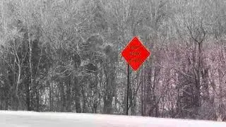 01-31-2026 DeKalb County, AL - Morning Snow