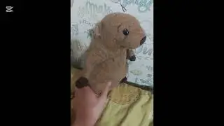 Парадокс гранд отеля|объясняю парадоксы|