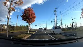 【車載動画】早朝の富丘通