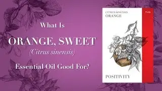 What is Orange Essential Oil Good For