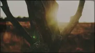 Bliss - Nomurai (Music Video)