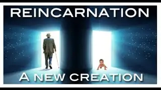 CASE FILE 9 : REINCARNATION- The lost Info Podcast - TLI Studio