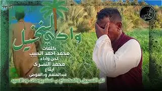 محمدالنصري _ وادي النخيل