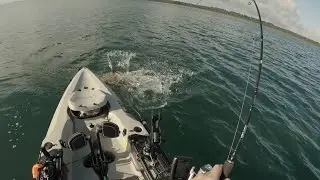 Western Port Kayak Fishing