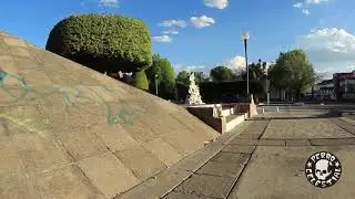 Joan paulson perro celestial