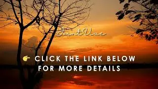 🦴 Joint Vive Review | Joint Health & Mobility Support Supplement