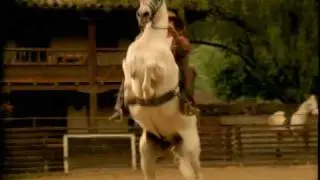 PDG2