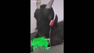 DISMEMBERMENT ABORTION